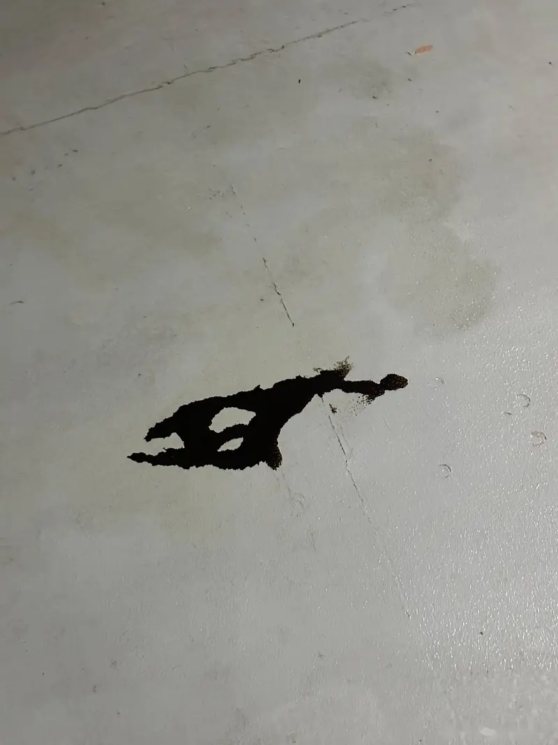 不知道哪位可怜猪猪车 天天漏机油 经常在车库看到这种“腹吐黑水”的痕迹 有没有尊