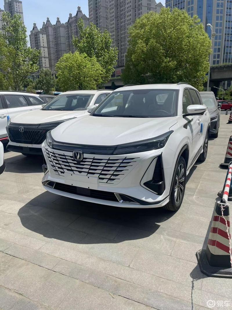 特斯拉中国