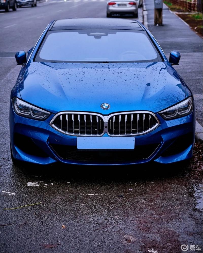 在路上偶遇一辆蓝色的 8 系,这是我最喜_宝马8系社区_易车社区