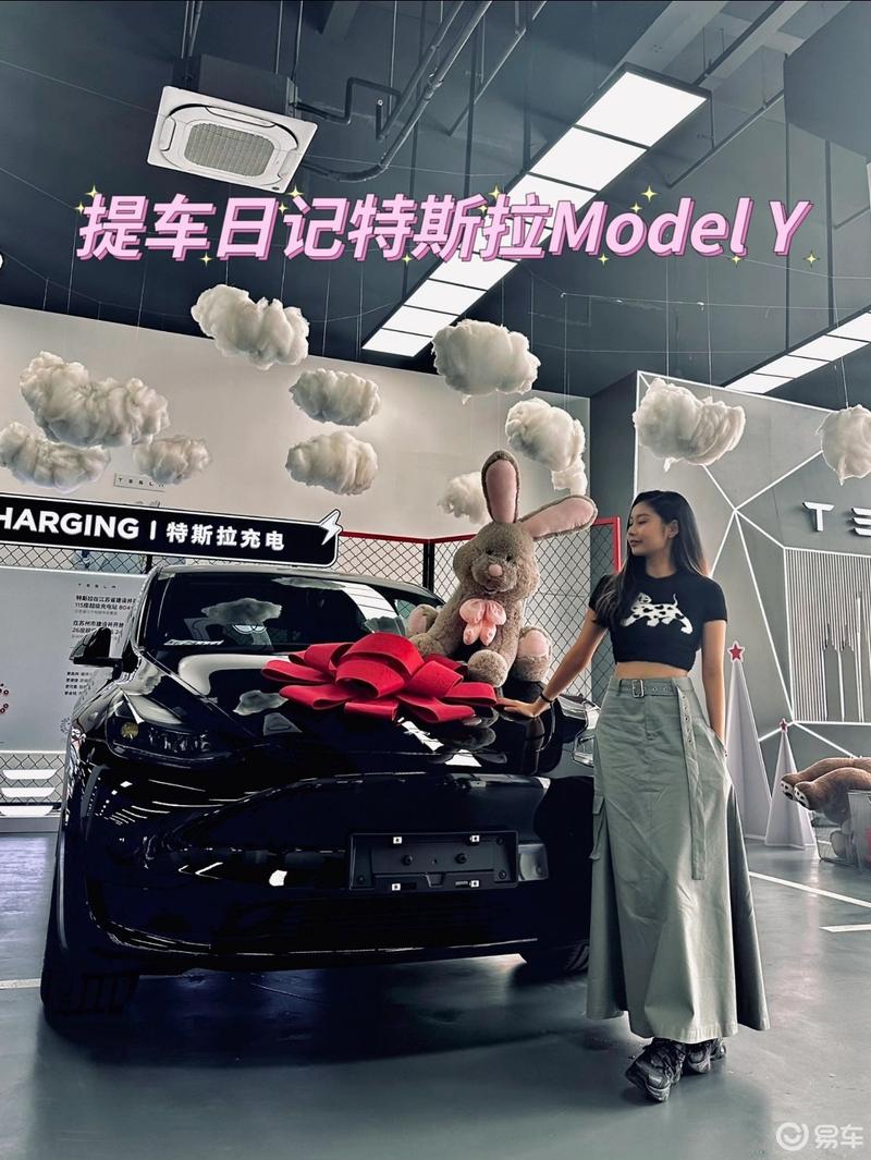 提车日记 特斯拉 (model3提车日记)