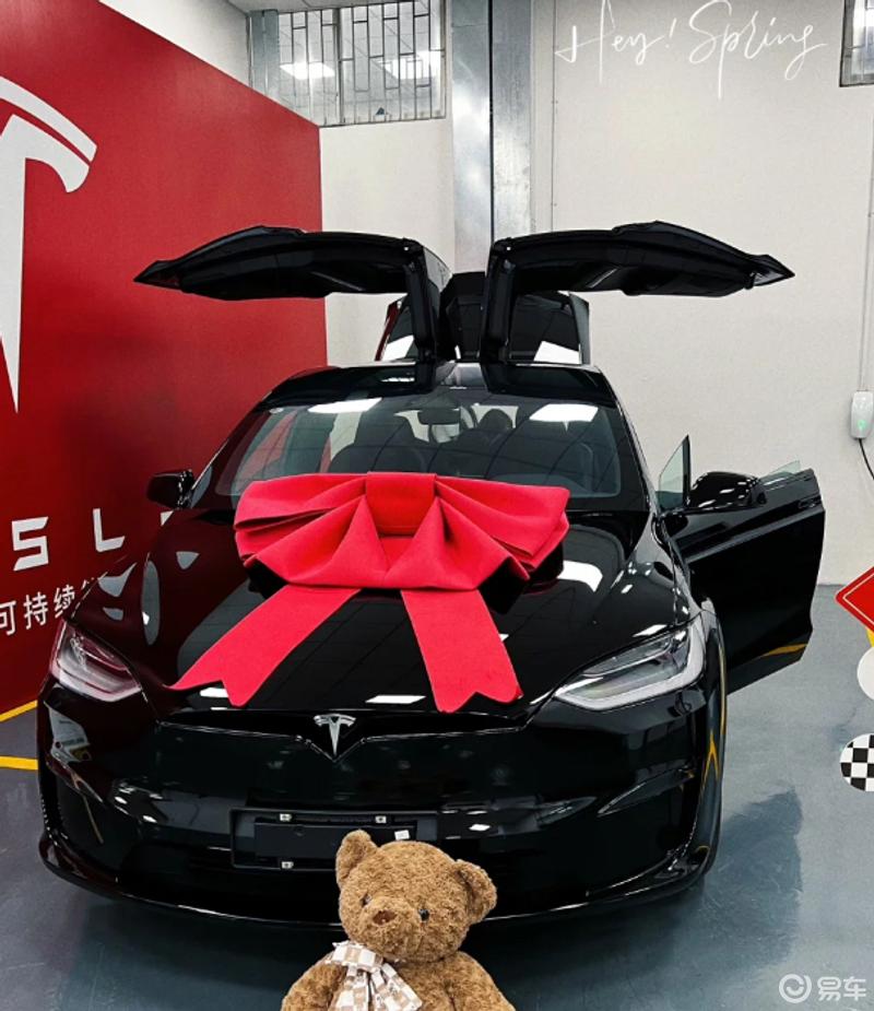 特斯拉modelx提车快乐9696_model x社区_易车社区