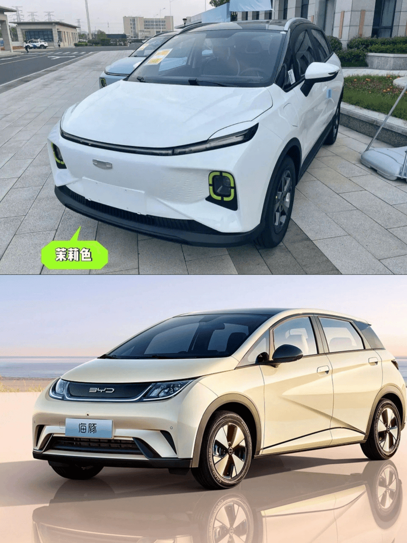 电车还是油车,几何e还是海豚?