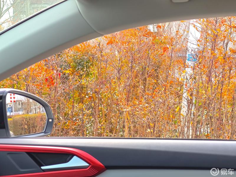 周末拍下的糖水大片之一——途岳_途岳社区_易车社区