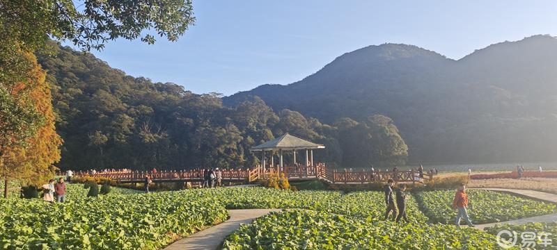 畅游石门森林公园