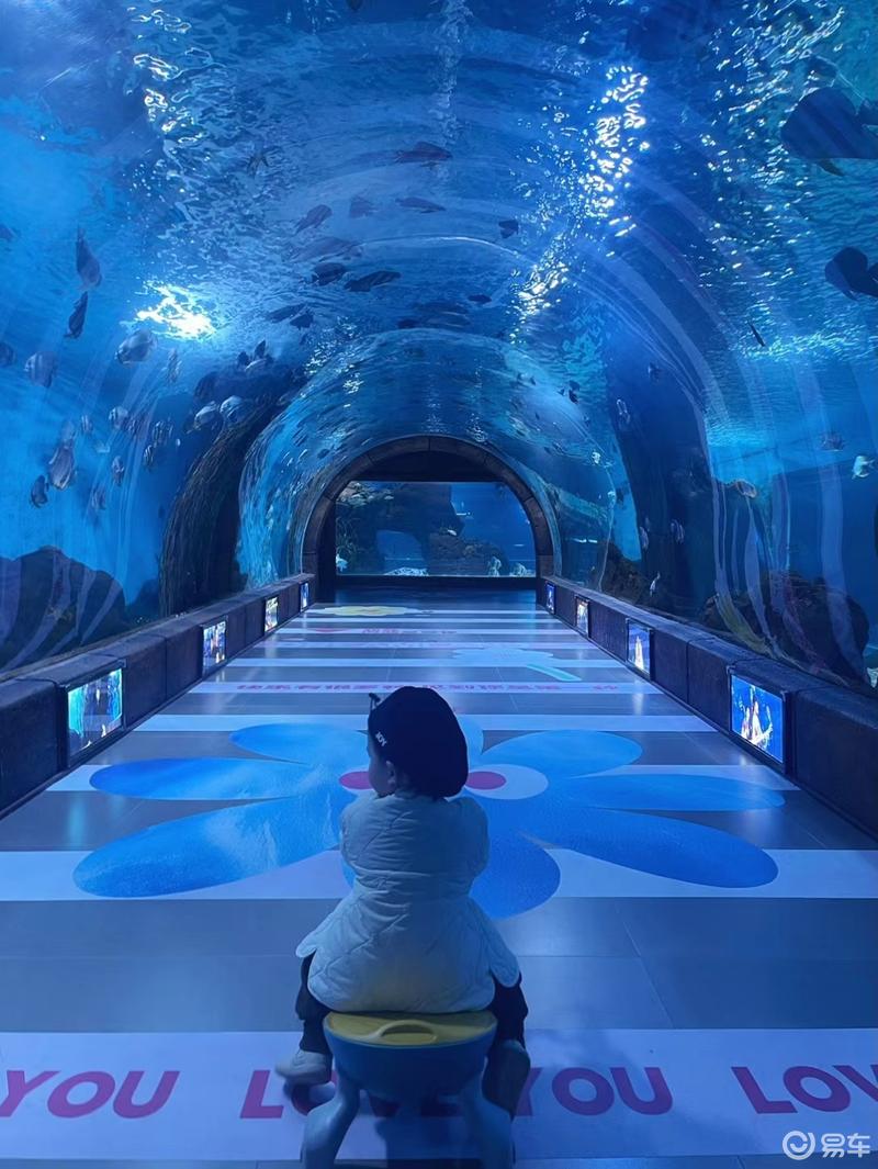 抚顺海洋馆亲子游