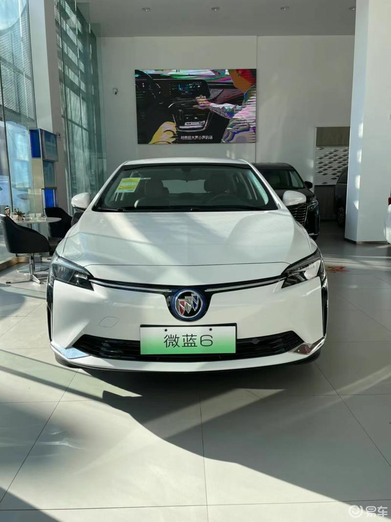 别克微蓝6春季出游表现_微蓝velite 6 纯电动社区_易车社区