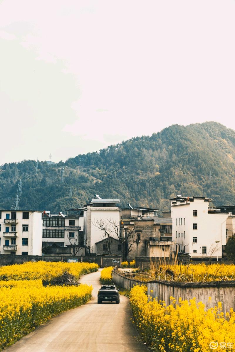 黑武士之皖南印象 终结篇_岚图free社区_易车社区