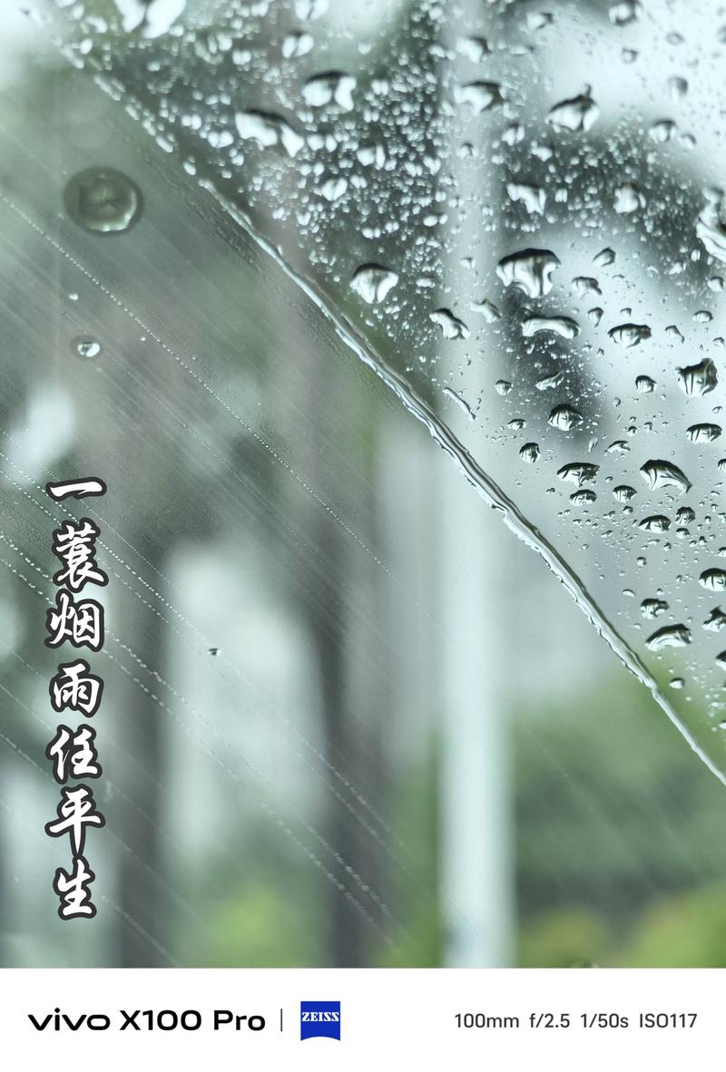 最美不是下雨天图片