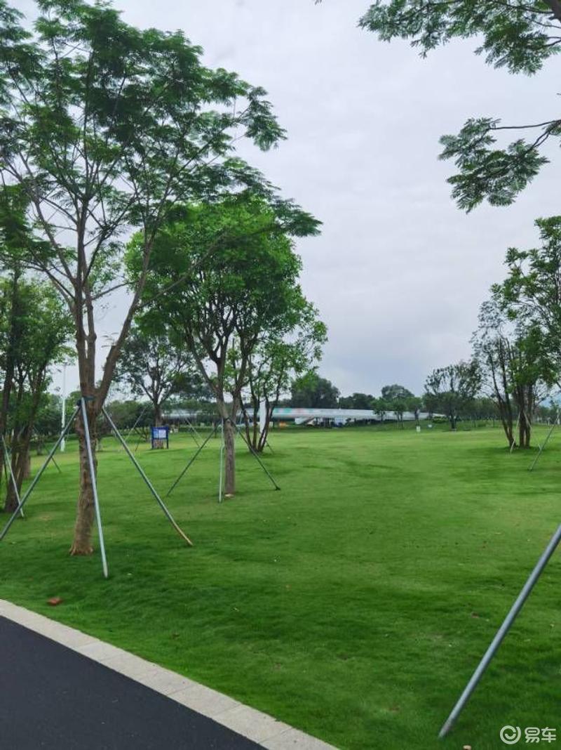 这个周末 我在深圳明湖公园