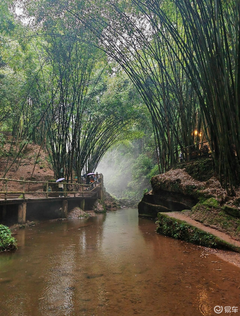 烟雨柳江图片