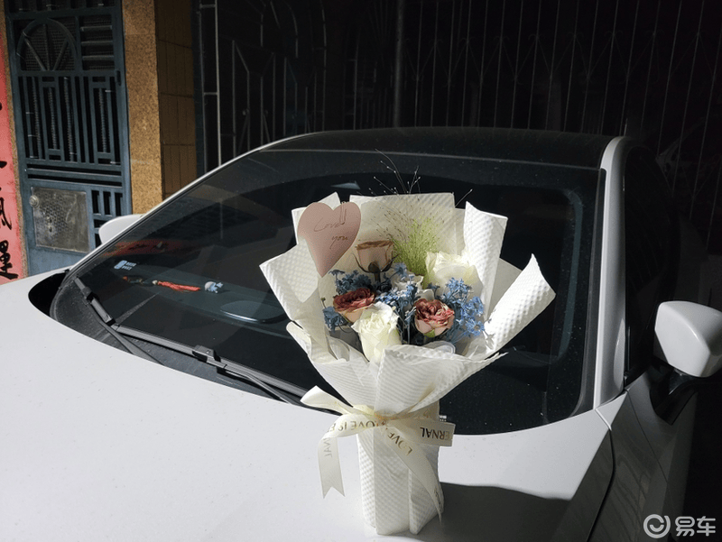 车内养花浅谈_综合社区_易车社区