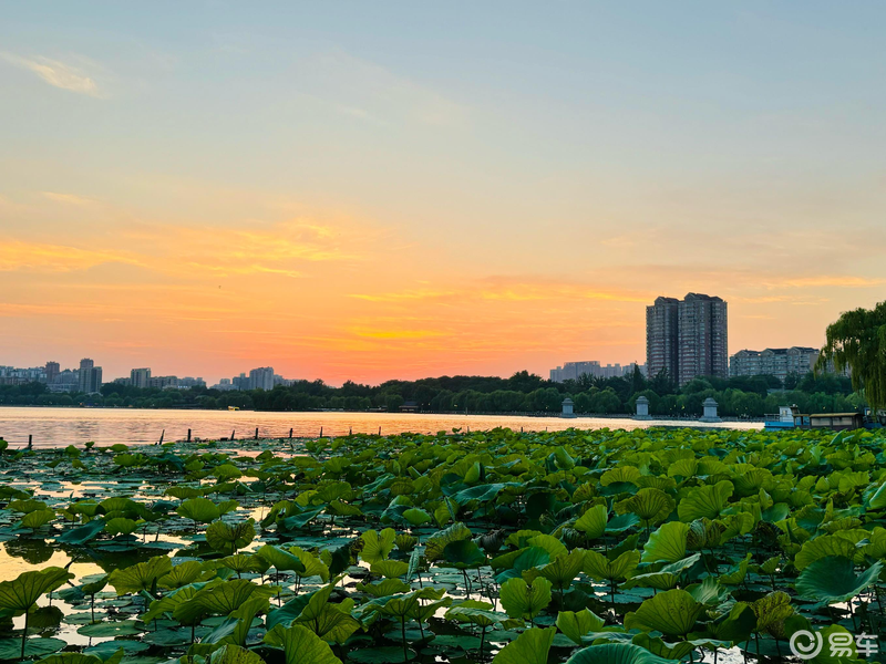 济南大明湖夏天图片