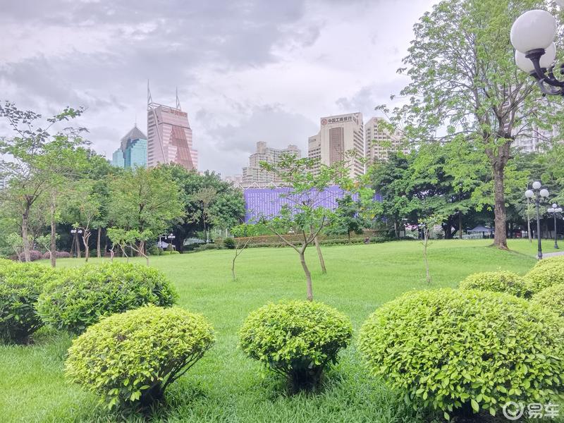 周末出行,自驾游玩荔枝公园.