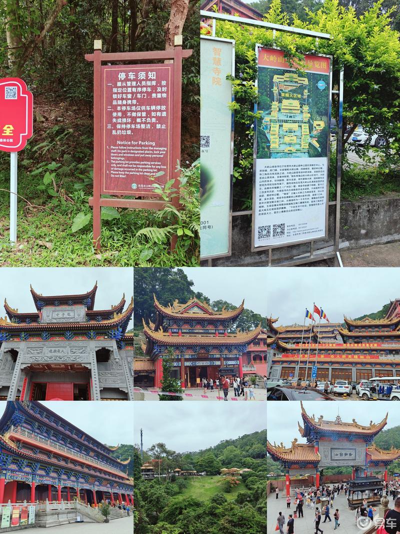 大岭山森林公园门票图片