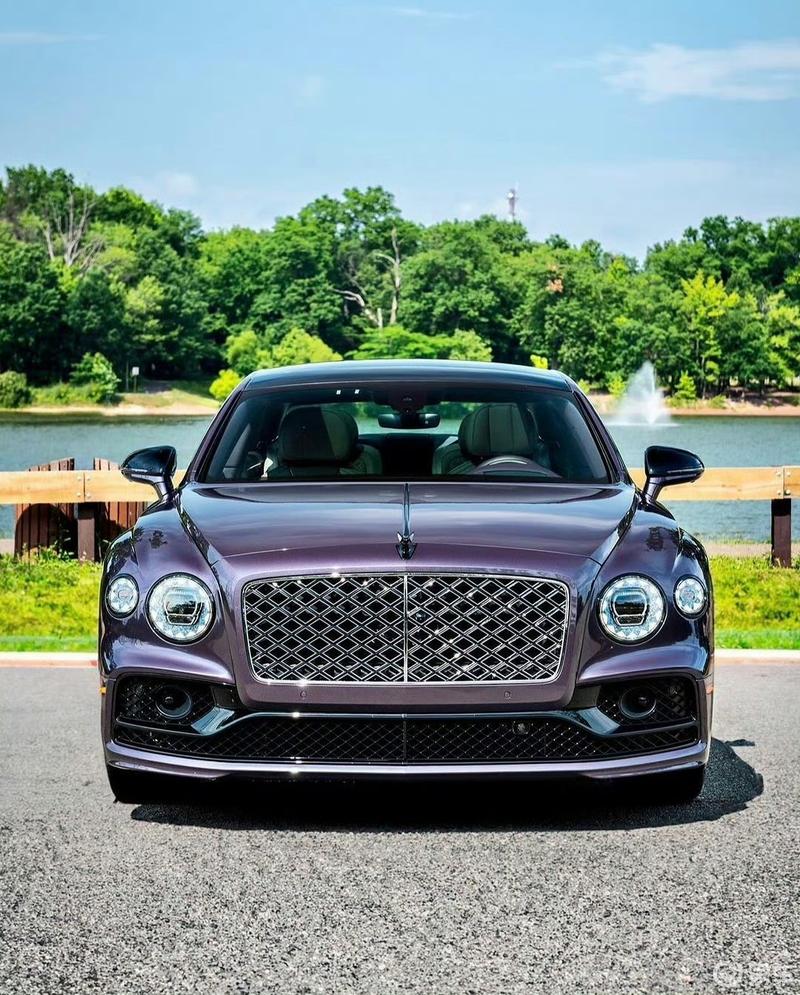 每天认识一辆车|宾利飞驰#成年人的大玩具