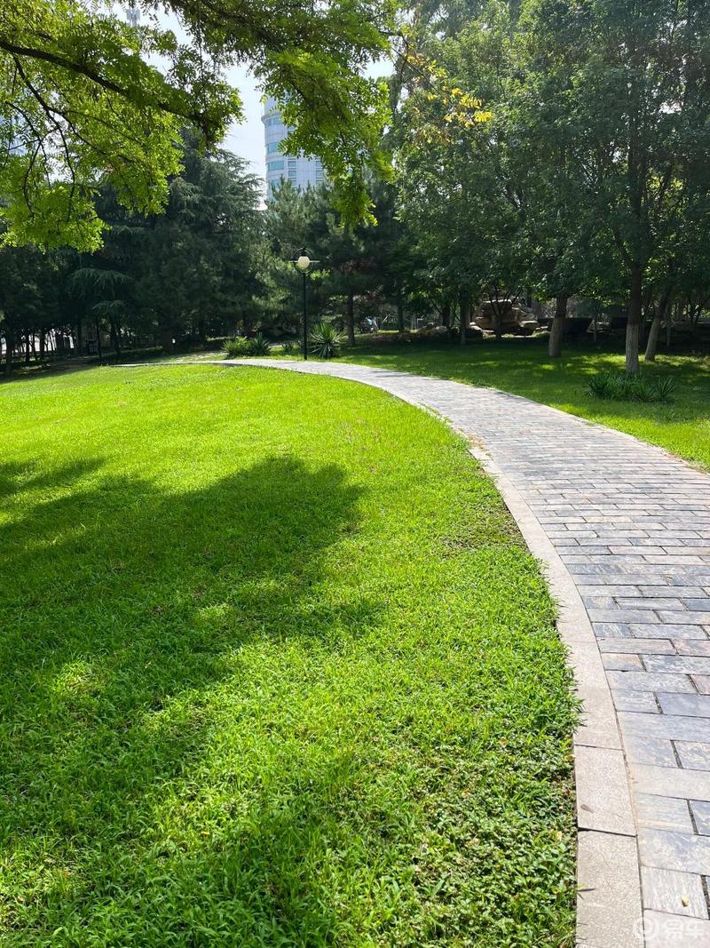 与轩逸共享凉爽时光:夏日公园的美好回忆.