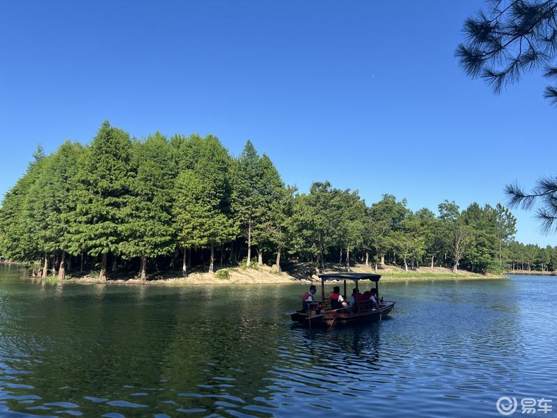 常州自驾新宠:新龙生态林,尽享玩水乐趣