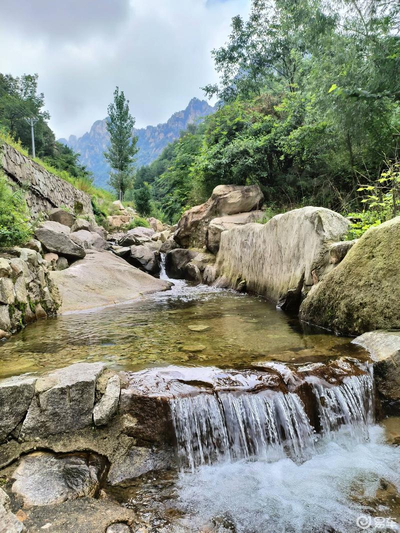 老界岭风景图片图片