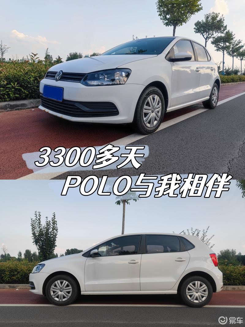 3300多天,polo与我相伴