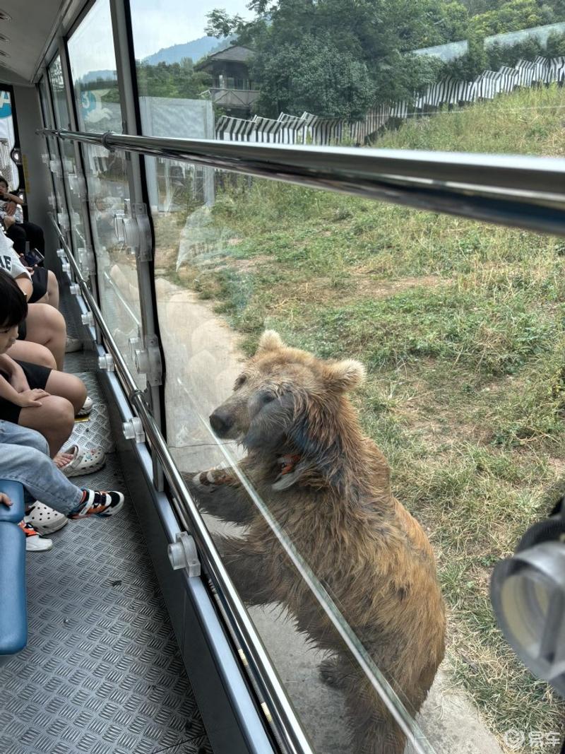 夏日自驾游 与奇骏的秦岭野生动物园之行