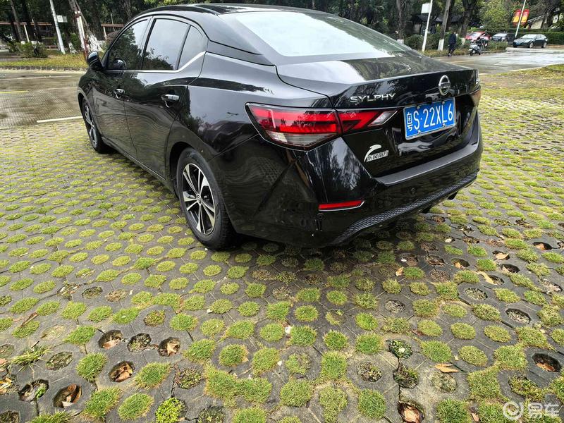 植物园光影邂逅:14代轩逸的优雅与自然之美