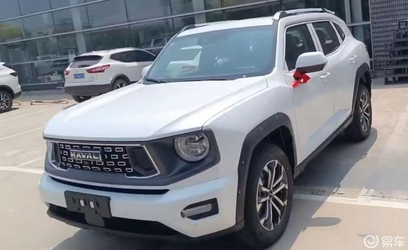 白色二狗很好看