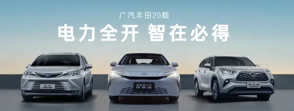 微信图片_20250207130954