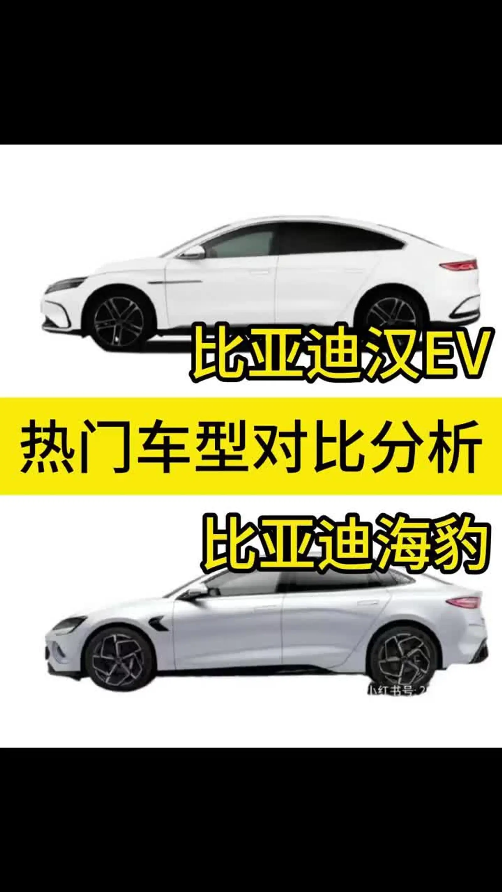 热门车型对比图片