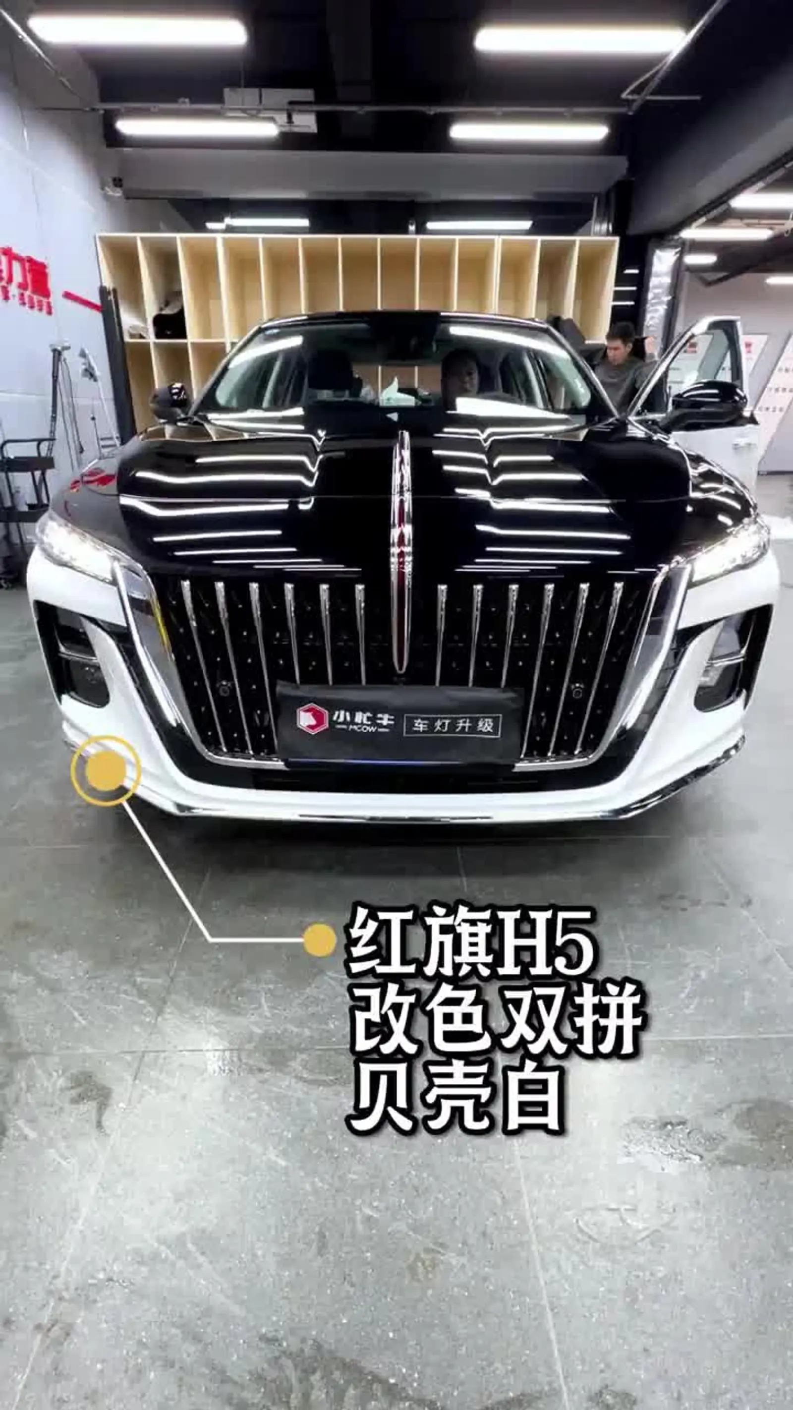 红旗h5改色膜黑白双拼